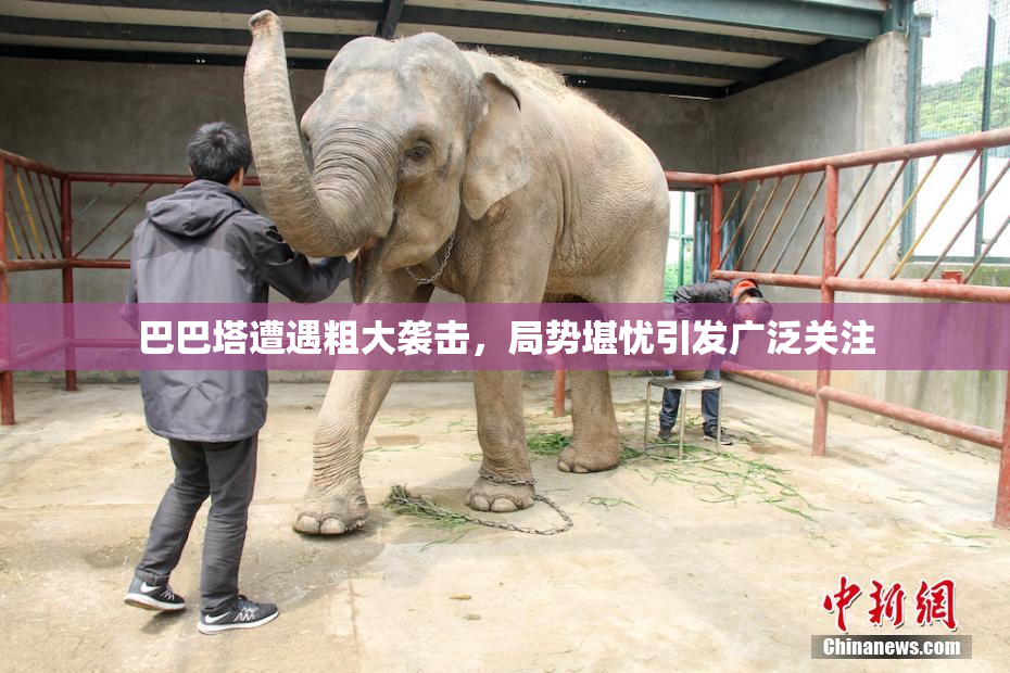巴巴塔遭遇粗大袭击，局势堪忧引发广泛关注