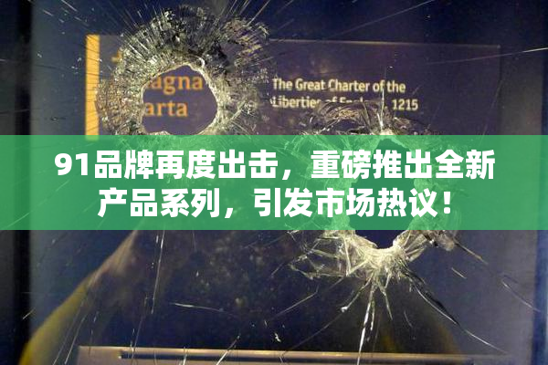 91品牌再度出击，重磅推出全新产品系列，引发市场热议！