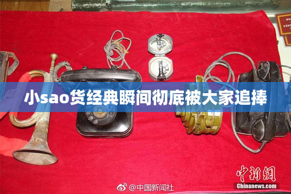 小sao货经典瞬间彻底被大家追捧