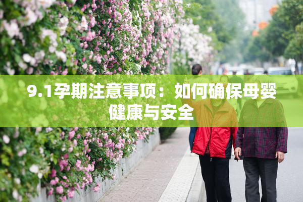 9.1孕期注意事项：如何确保母婴健康与安全