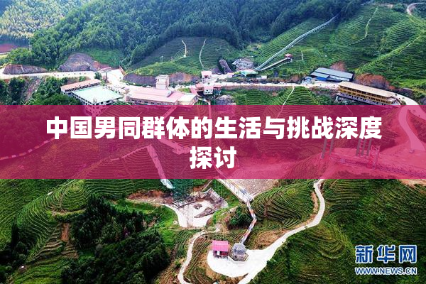 中国男同群体的生活与挑战深度探讨
