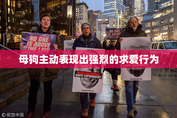 母狗主动表现出强烈的求爱行为