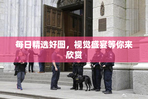 每日精选好图，视觉盛宴等你来欣赏