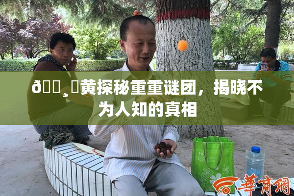 🌸‌黄探秘重重谜团，揭晓不为人知的真相