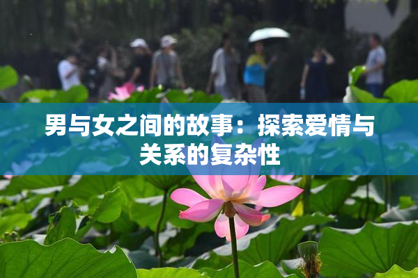 男与女之间的故事：探索爱情与关系的复杂性