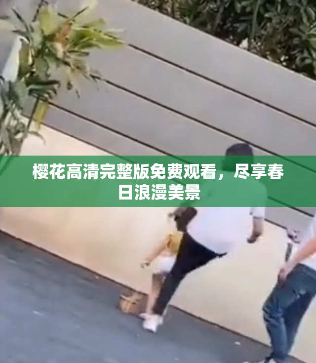 樱花高清完整版免费观看，尽享春日浪漫美景