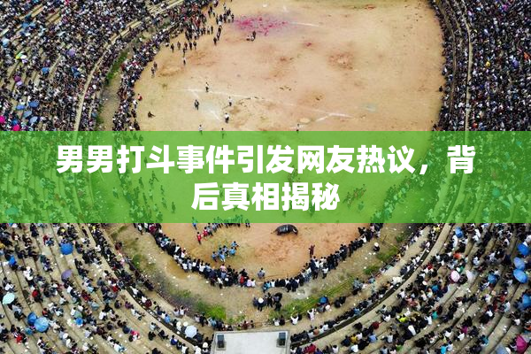 男男打斗事件引发网友热议，背后真相揭秘