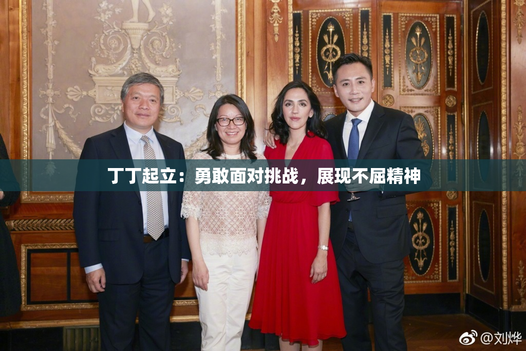 丁丁起立：勇敢面对挑战，展现不屈精神