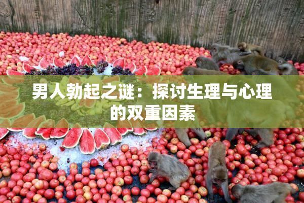 男人勃起之谜：探讨生理与心理的双重因素