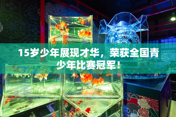 15岁少年展现才华，荣获全国青少年比赛冠军！
