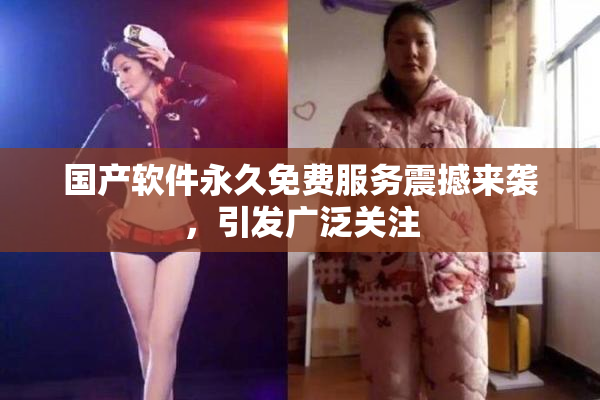 国产软件永久免费服务震撼来袭，引发广泛关注