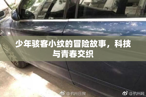 少年骇客小纹的冒险故事，科技与青春交织