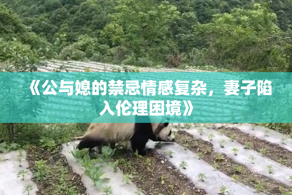 《公与媳的禁忌情感复杂，妻子陷入伦理困境》