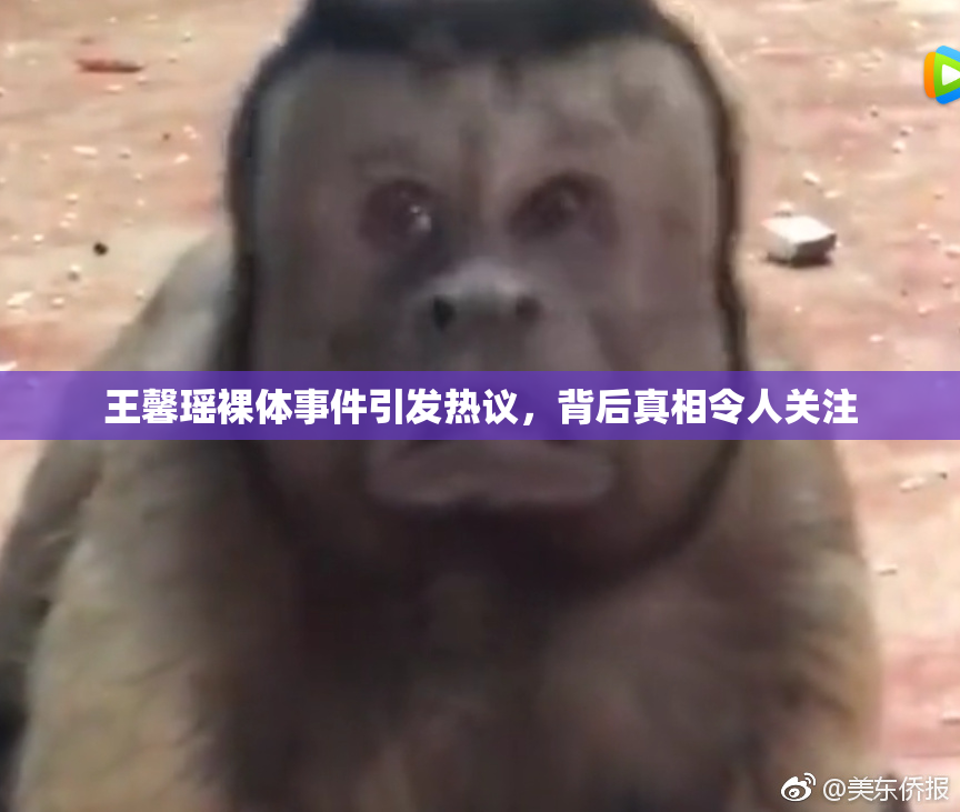 王馨瑶裸体事件引发热议，背后真相令人关注