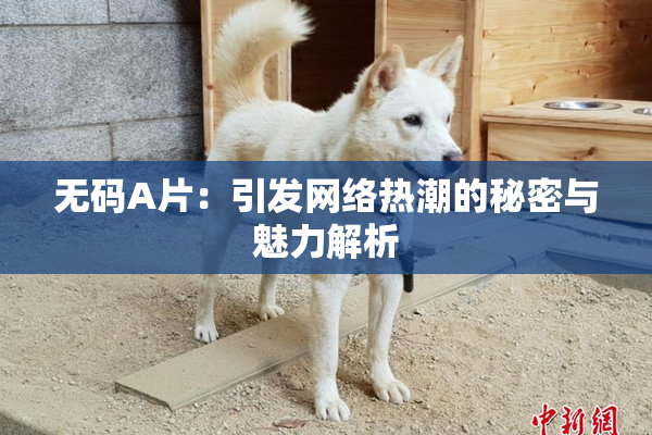 无码A片：引发网络热潮的秘密与魅力解析