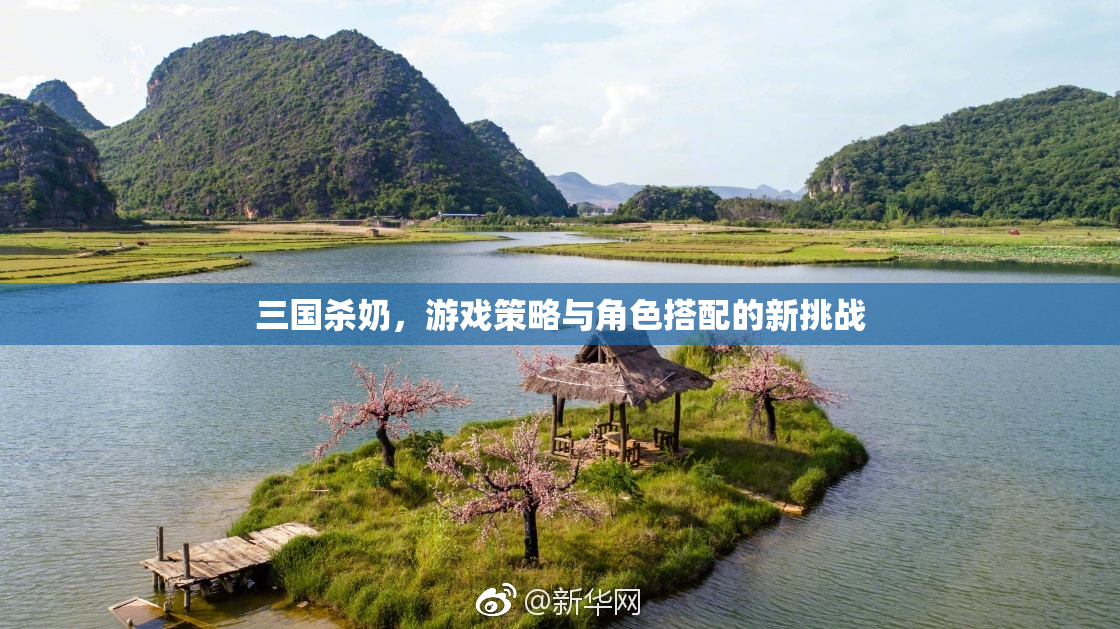 三国杀奶，游戏策略与角色搭配的新挑战