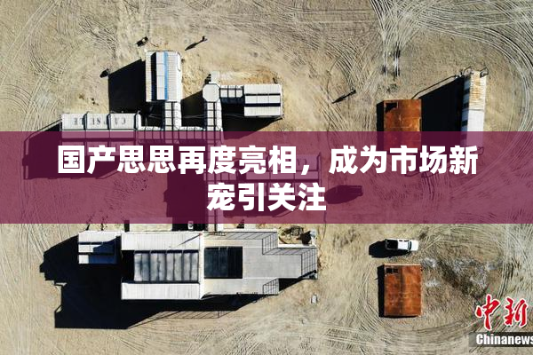 国产思思再度亮相，成为市场新宠引关注