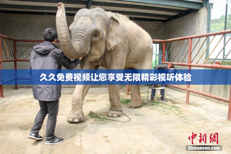 久久免费视频让您享受无限精彩视听体验