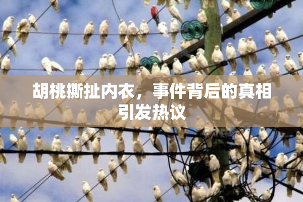 胡桃撕扯内衣，事件背后的真相引发热议