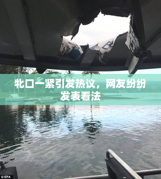 牝口一紧引发热议，网友纷纷发表看法