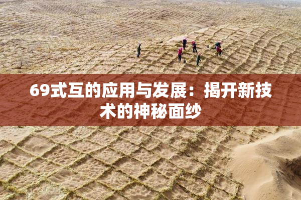 69式互的应用与发展：揭开新技术的神秘面纱