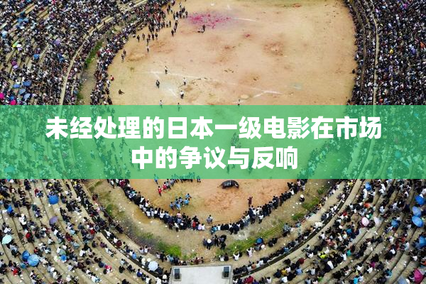 未经处理的日本一级电影在市场中的争议与反响