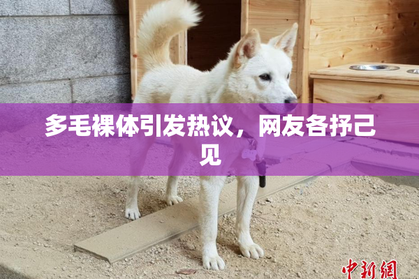 多毛裸体引发热议，网友各抒己见
