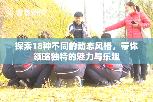 探索18种不同的动态风格，带你领略独特的魅力与乐趣