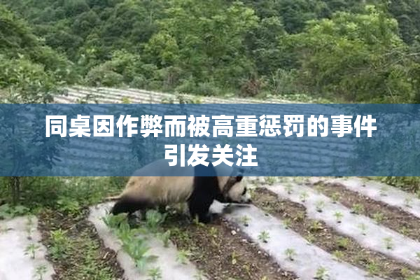 同桌因作弊而被高重惩罚的事件引发关注