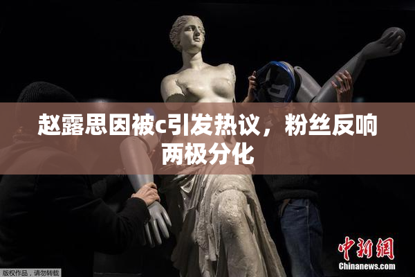 赵露思因被c引发热议，粉丝反响两极分化