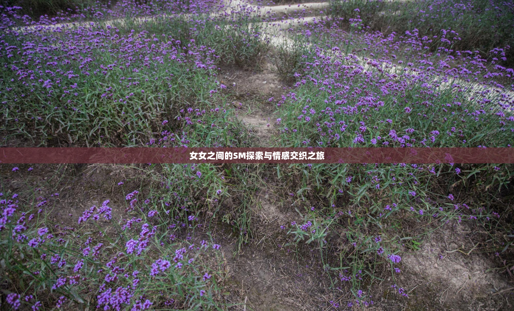 女女之间的SM探索与情感交织之旅