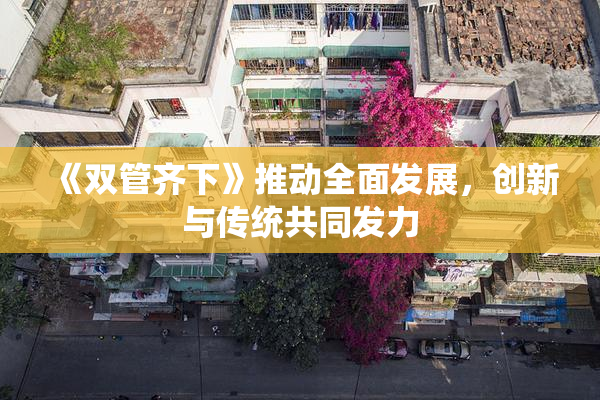 《双管齐下》推动全面发展，创新与传统共同发力