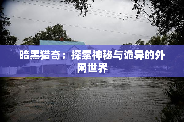 暗黑猎奇：探索神秘与诡异的外网世界