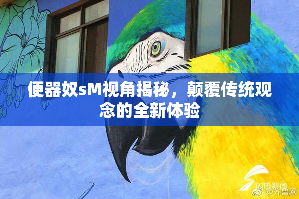 便器奴sM视角揭秘，颠覆传统观念的全新体验