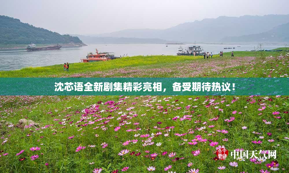 沈芯语全新剧集精彩亮相，备受期待热议！