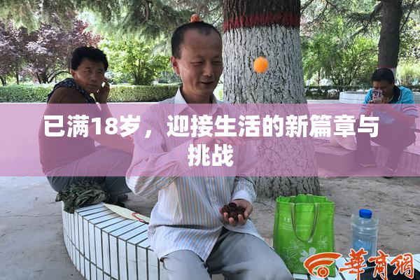 已满18岁，迎接生活的新篇章与挑战