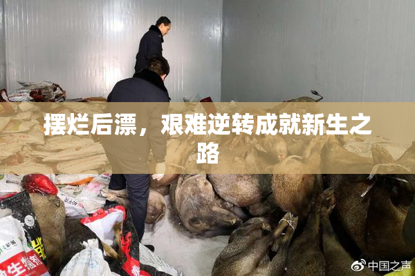 摆烂后漂，艰难逆转成就新生之路