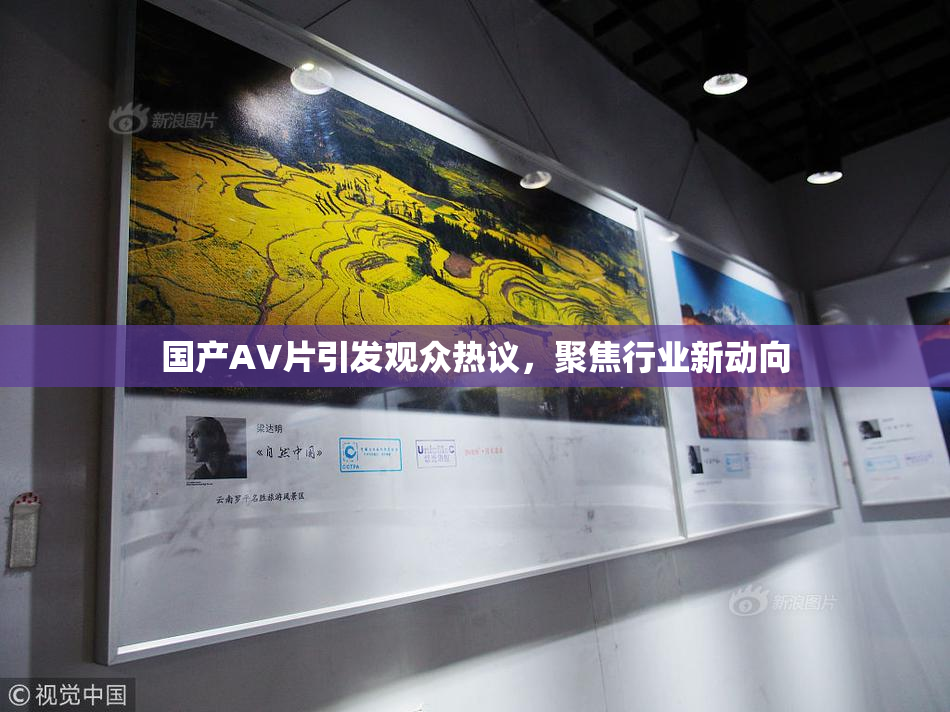 国产AV片引发观众热议，聚焦行业新动向