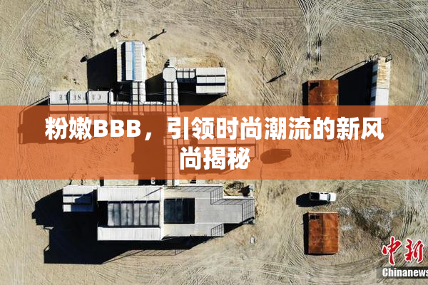 粉嫩BBB，引领时尚潮流的新风尚揭秘