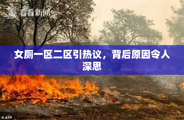女厕一区二区引热议，背后原因令人深思