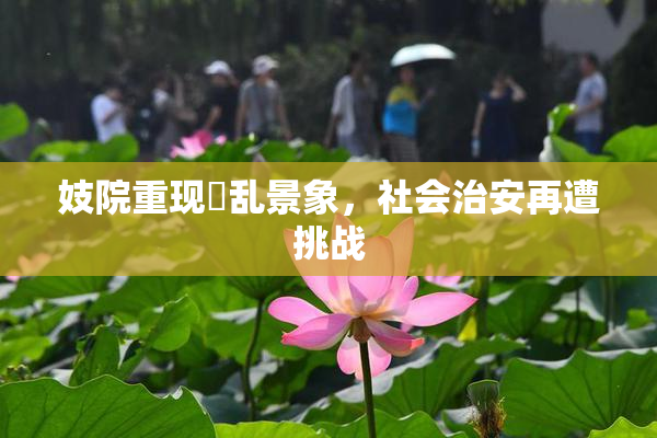 妓院重现婬乱景象，社会治安再遭挑战
