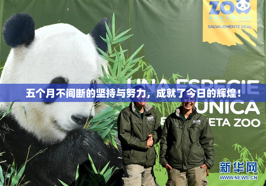 五个月不间断的坚持与努力，成就了今日的辉煌！