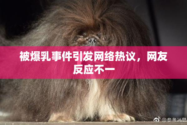 被爆乳事件引发网络热议，网友反应不一
