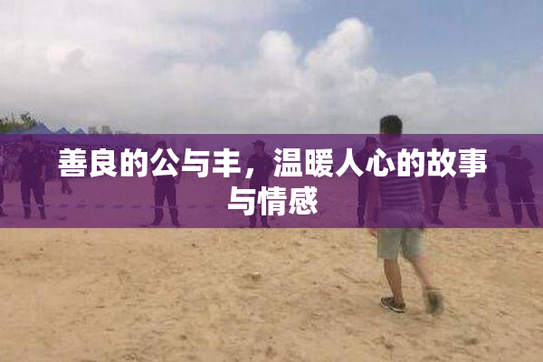 善良的公与丰，温暖人心的故事与情感