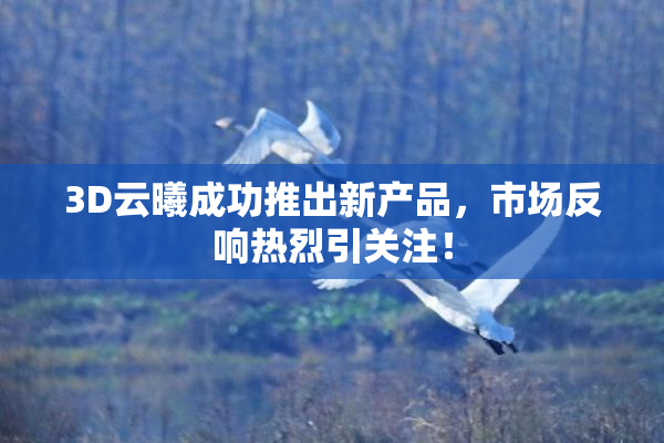 3D云曦成功推出新产品，市场反响热烈引关注！