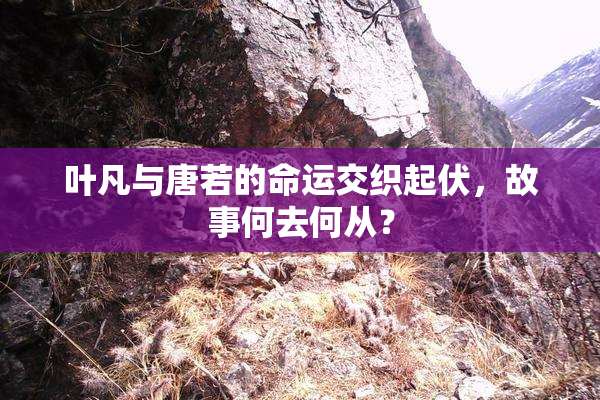 叶凡与唐若的命运交织起伏，故事何去何从？