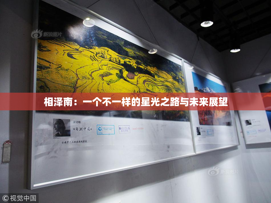 相泽南：一个不一样的星光之路与未来展望