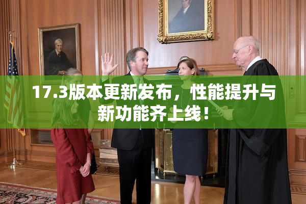 17.3版本更新发布，性能提升与新功能齐上线！
