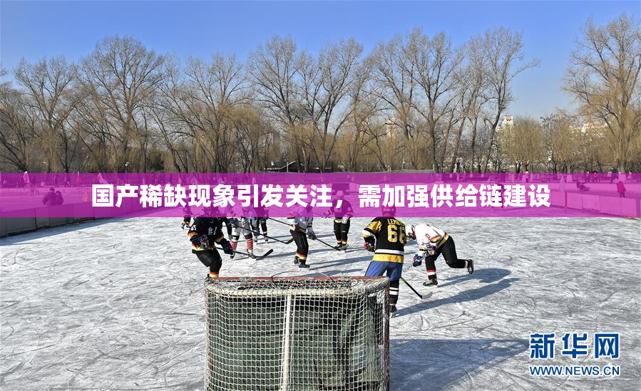 国产稀缺现象引发关注，需加强供给链建设