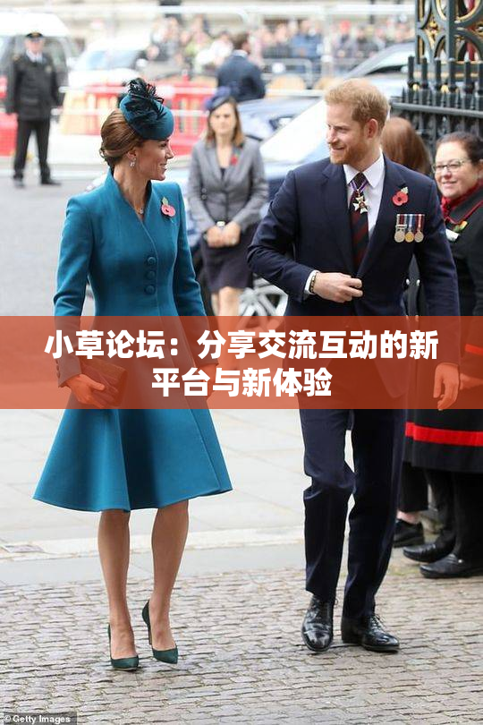 小草论坛：分享交流互动的新平台与新体验